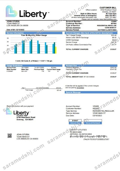 USA California Liberty Utilities utility bill template in Word and PDF format